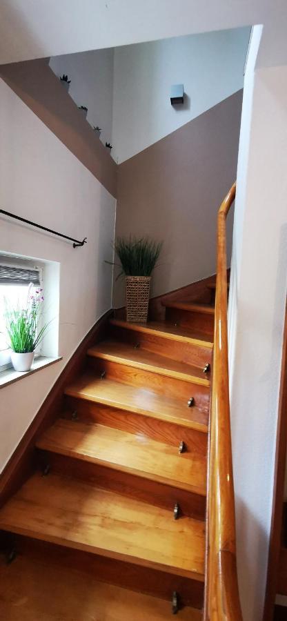 Ferienwohnung Palmenwald Freudenstadt Buitenkant foto